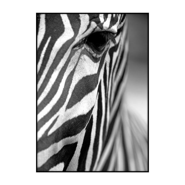 Plakát Imagioo Zebra Texture, 40 x 30 cm