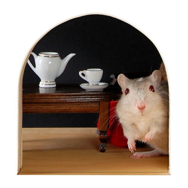 Hiire augu kleebis - Ambiance-image-2