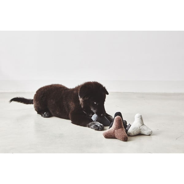 Mänguasi koerale Quattro Dusty Green S/M - MiaCara-image-1