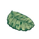 Roheline vannitoamatt 60x100 cm Sheet - Foutastic