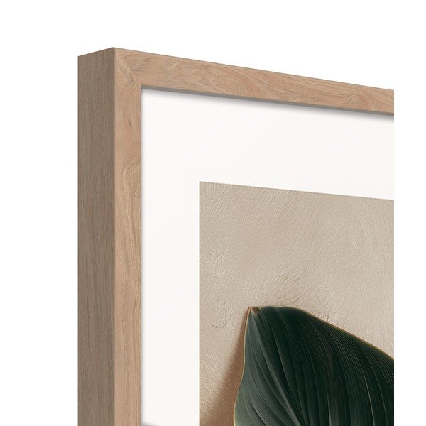 Trükitud pilt raamiga 50x70 cm Strelizia Leaf - Styler-image-4