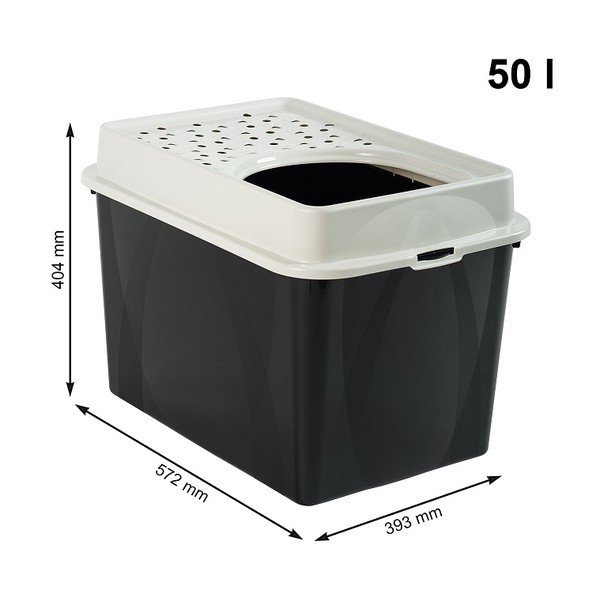 Kassi pesakast 57,2x39,3 cm Eco Berty - Rotho-image-1