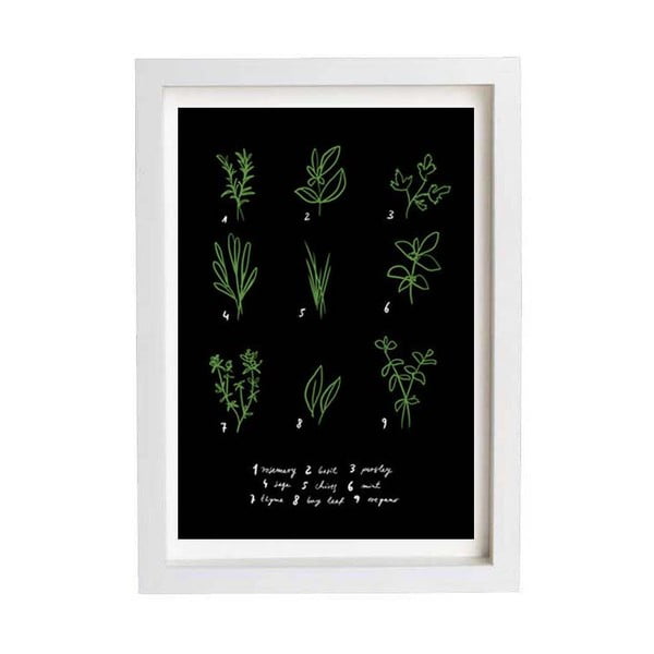 Plakát Herbs