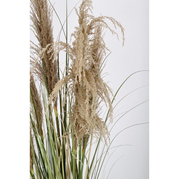 Kunsttaim (kõrgus 145 cm) Austorderia - Bizzotto-image-3