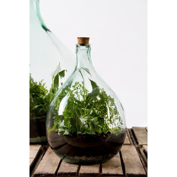 Terraarium ø 30 cm – Esschert Design-image-4