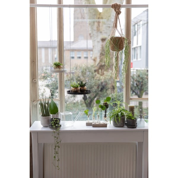 Klaasist lillepott läbipaistev, 1,5 l - Esschert Design-image-1