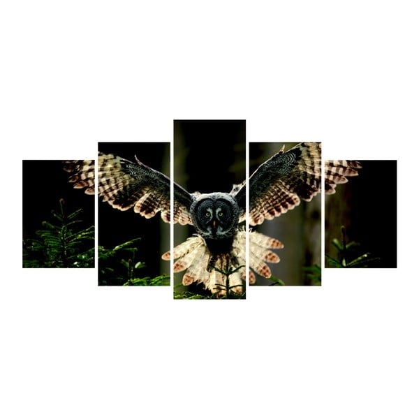 Vícedílný obraz La Maison Des Couleurs Owl