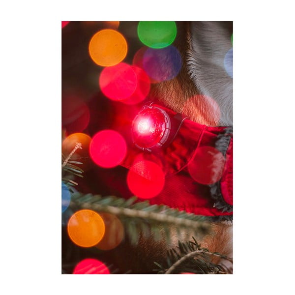 LED-kaelarihm Red – Orbiloc-image-4