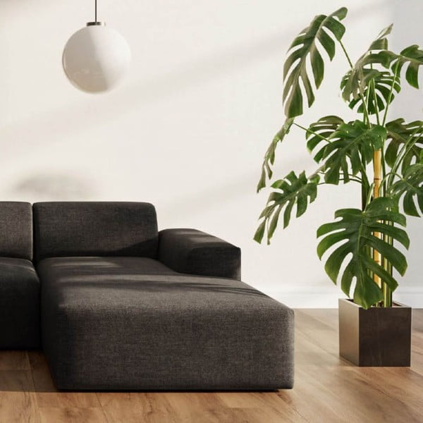 Antratsiitne nurgadiivan (parem nurk) Villet - Rodier-image-3