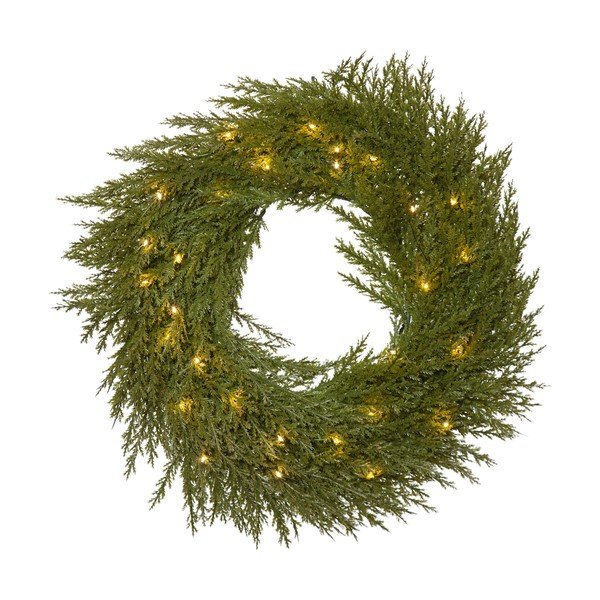 Kerge pärg Thuja - Star Trading-image-2