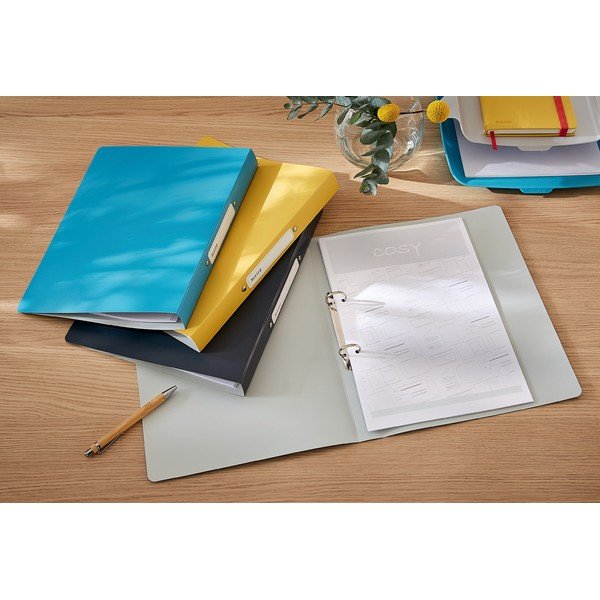 Hall ringköitja Cosy - Leitz-image-1