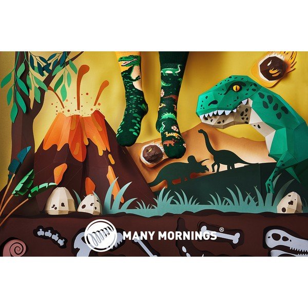 Ponožky Many Mornings The Dinosaurus, vel. 35–38-image-1
