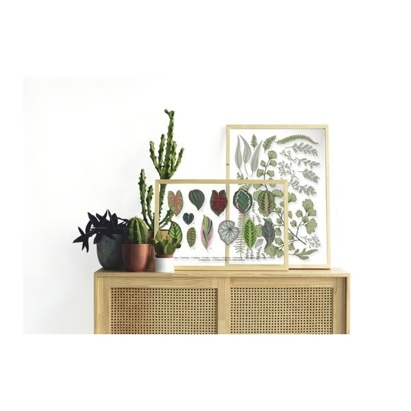 Pilt männipuidust raamiga Leafes Collection, 50 x 70 cm Leaves Collection - Surdic-image-1