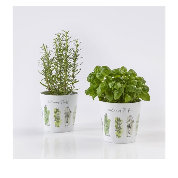 Keraamika lillepoti kate  2 tk ø 14 cm Dalllas Culinary – Big pots-image-1