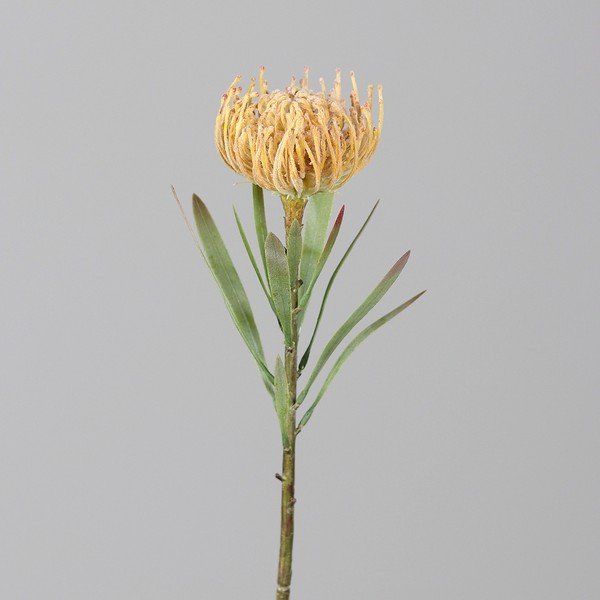 Kunstlill (kõrgus 43 cm) Protea - Ego Dekor