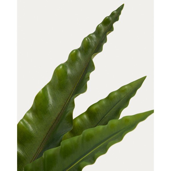 Kunstlik sukulent (kõrgus 70 cm) Neottopteris - Kave Home-image-2