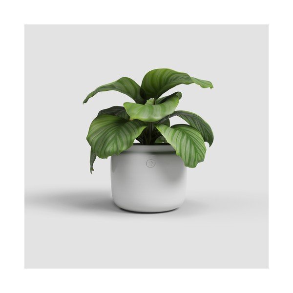 Keraamiline käsitöö lillepott ø 26 cm Astrea - Artevasi-image-1