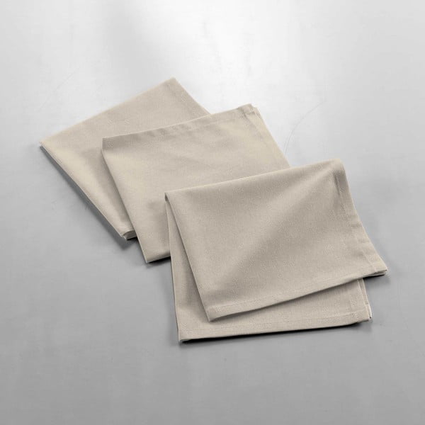 Salvrätikud komplektis 3 tükki 40x40 cm Mistral - douceur d'intérieur