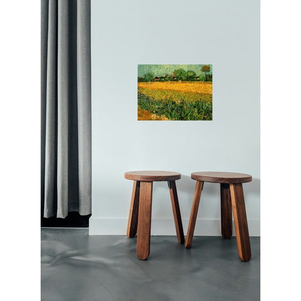 Vincent van Goghi reproduktsioon - vaade arlesele, esiplaanil iirised, 40 x 30 cm. Vincent van Gogh - View of arles with irises in the foreground - Fedkolor-image-1