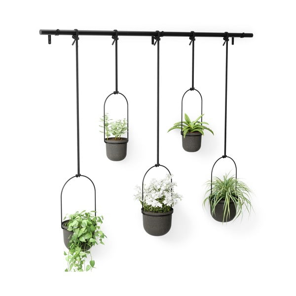 Plastikust lillepoti katted 5tk komplektis maitsetaimedele/riputamiseks ø 7,5 cm Triflora – Umbra-image-4