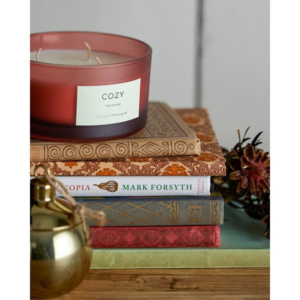 Lõhnaküünal, põlemisaeg 25 h Cozy Nectarine - ILLUME x Bloomingville-image-1