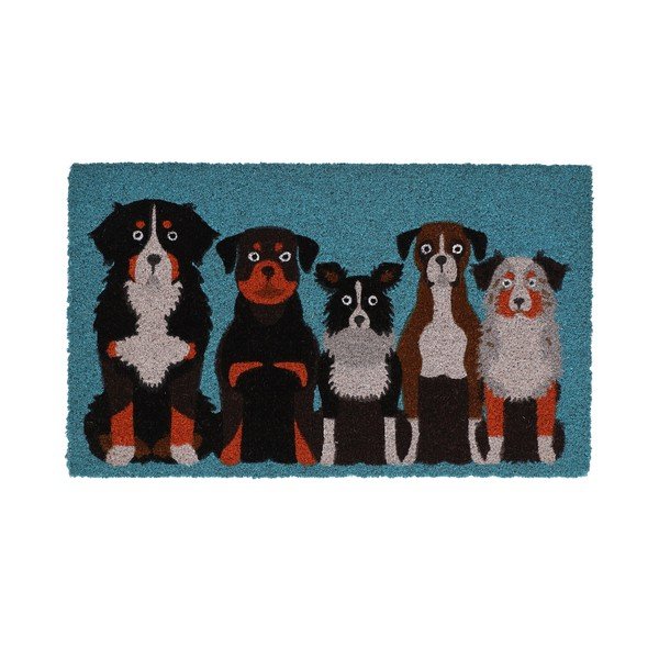 Kookoskiududest matt 45x75 cm - Esschert Design