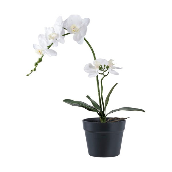 Kunstlill (kõrgus 47 cm) Orchid - House Nordic