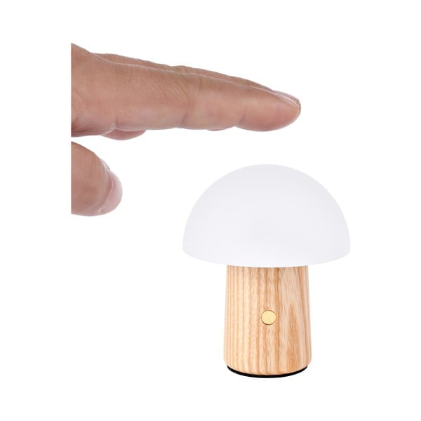 Tuhapuidust LED dimmerdatav laualamp (kõrgus 7 cm) Alice - Gingko