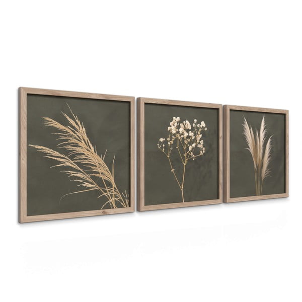 Maalid 3tk komplektis 30x30 cm Pampas – Styler-image-4