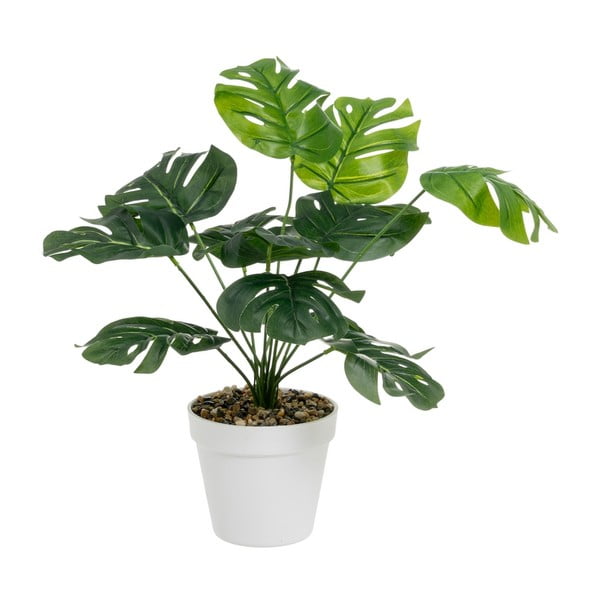 Kunstlik monstera (kõrgus 38 cm) - Casa Selección