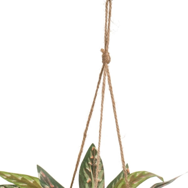 Kunstlik taim (kõrgus 25 cm) - Casa Selección-image-2