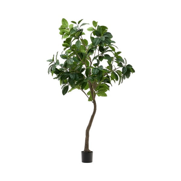 Kunstlik viigipuu (kõrgus 210 cm) Ficus - Kave Home