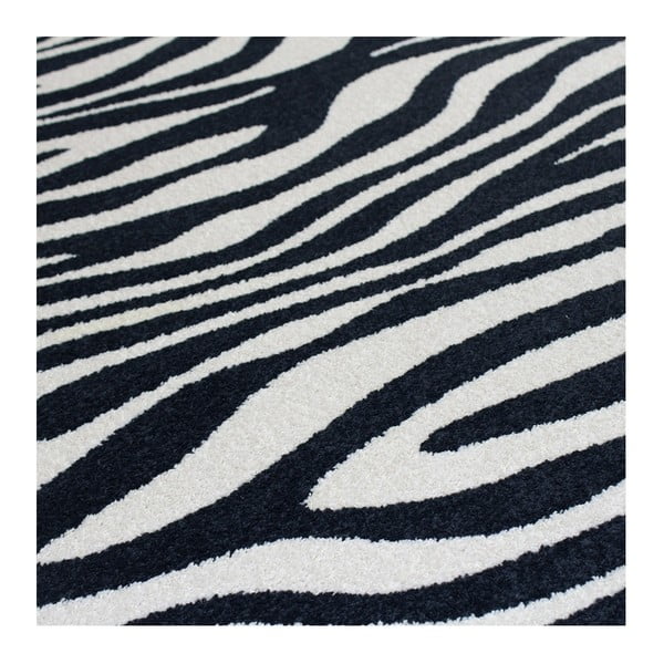 Koberec Zebra, 200 x 300 cm-image-2
