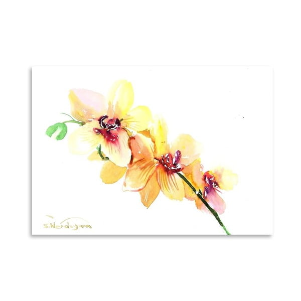 Plakát Peach Orchids od Suren Nersisyan