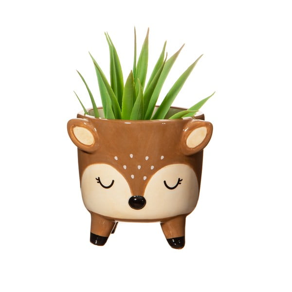 Kivi lillepoti kate Deer – Sass & Belle-image-1