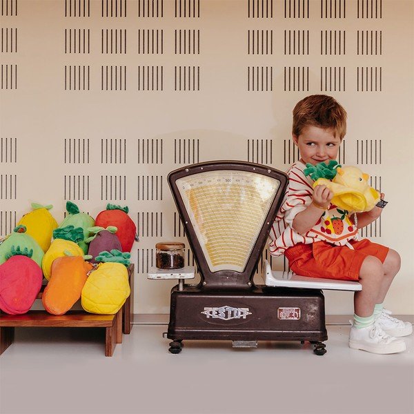 Kaisukaru Flipetz 2in1 Nugget - Les Deglingos-image-1