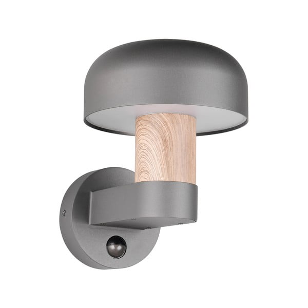 Välisvalgusti (kõrgus 24,5 cm) Fraser - Trio-image-4