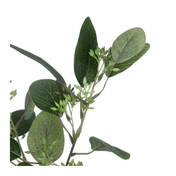 Kunsttaim eukalüpt (kõrgus 59 cm) - Ixia-image-1