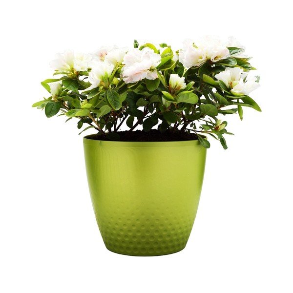 Zelený květináč Plastia Perla, ø 21,5 cm-image-1