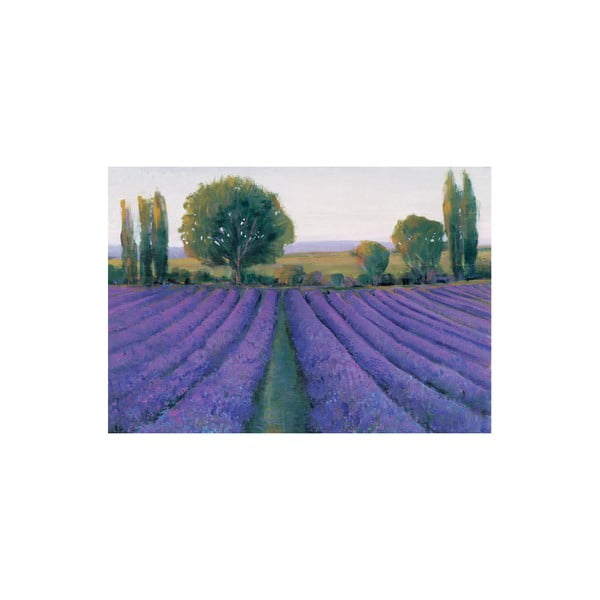 Obraz Lavender Field, 80x115 cm