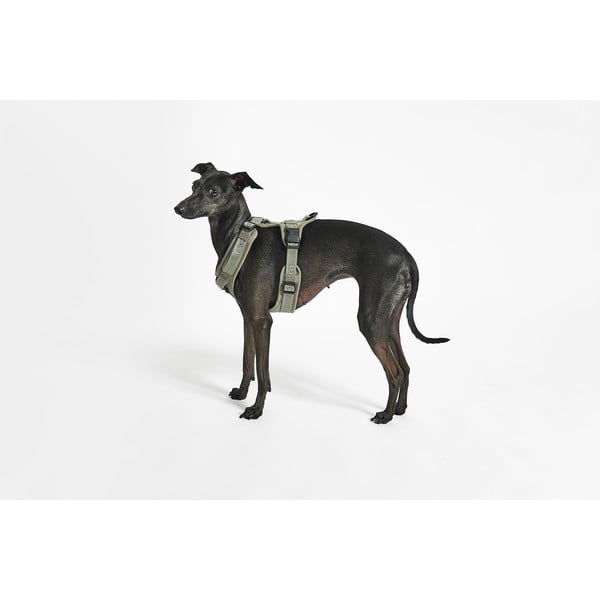 Roheline traksid XS pikkus 25 cm Modena Grolive XS – MiaCara-image-1