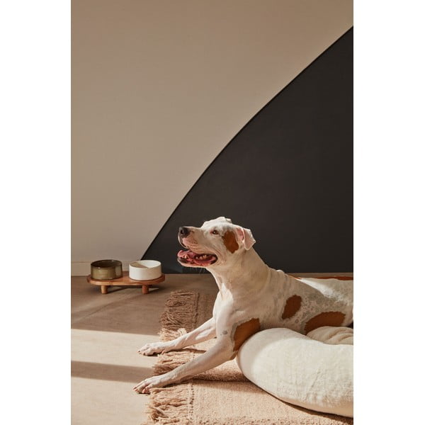 Keraamika kausside komplekt koos alusega 2 tk Dumbi – Kave Home-image-4