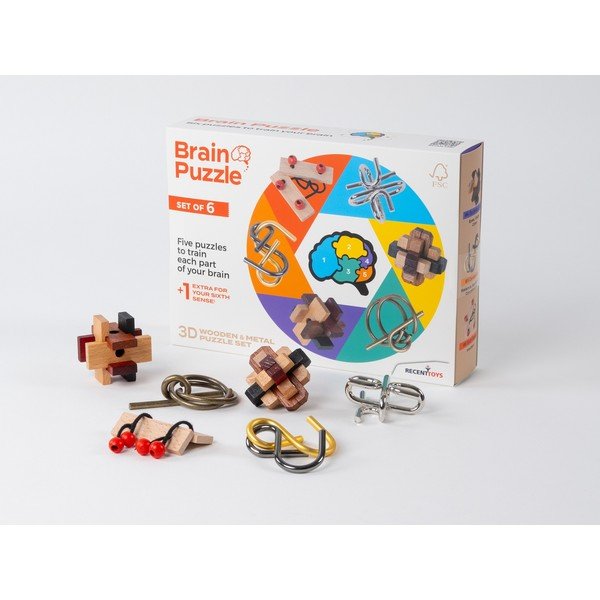 Mõistatus Brain Puzzle - RecentToys-image-1