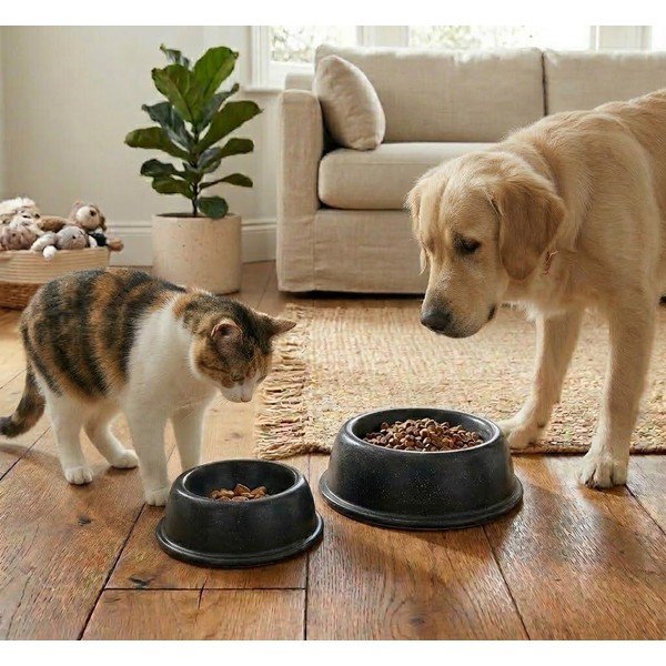 Kivikeraamikast kauss lemmikloomadele ø 21,3 cm - Casafina-image-2