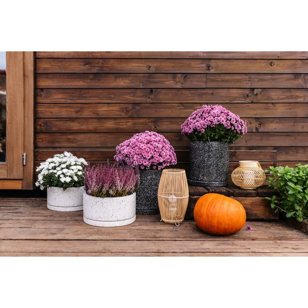 Tumehall pott, ø 34 cm Terrazzo - Bonami Selection-image-3