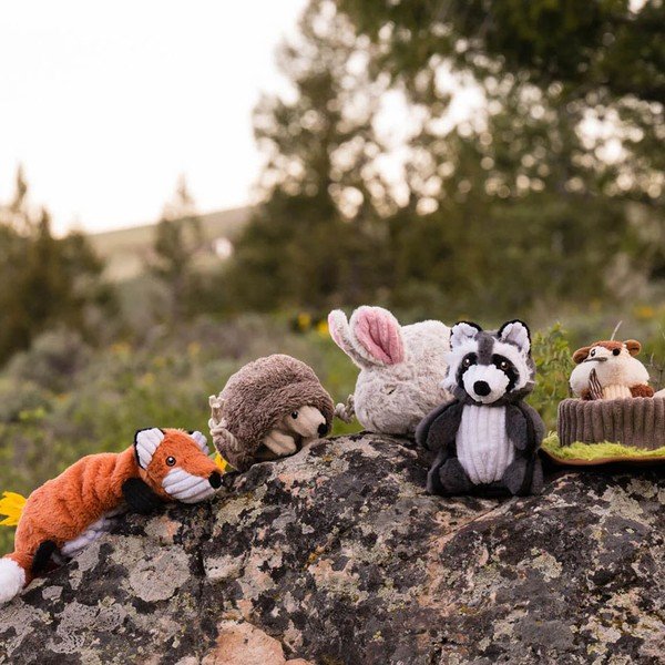 Kinkekomplekt 5 tk Forest Friends - P.L.A.Y.-image-1