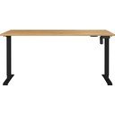 Elektriliselt reguleeritava kõrgusega töölaud 80x160 cm Boras - Germania