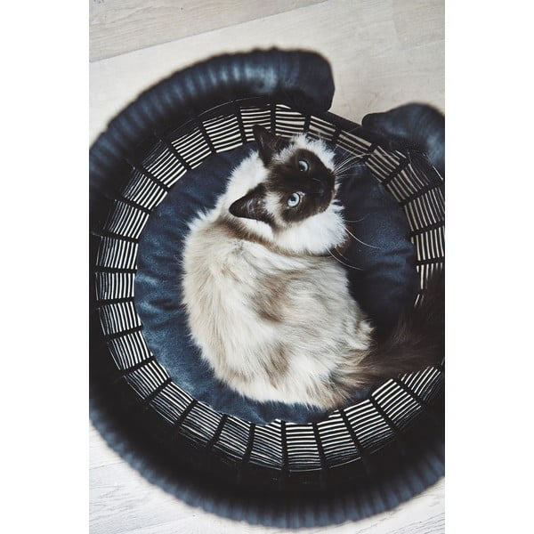 Antratsiitne kassivoodi ø 56 cm Perla Anthracite - MiaCara-image-3