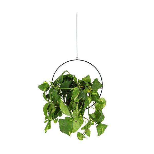 Metall lillepoti kate Planter – Esschert Design-image-1