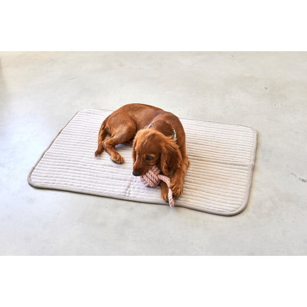 Beež puuvill tekk 120x90 cm Onda Greige L – MiaCara-image-2